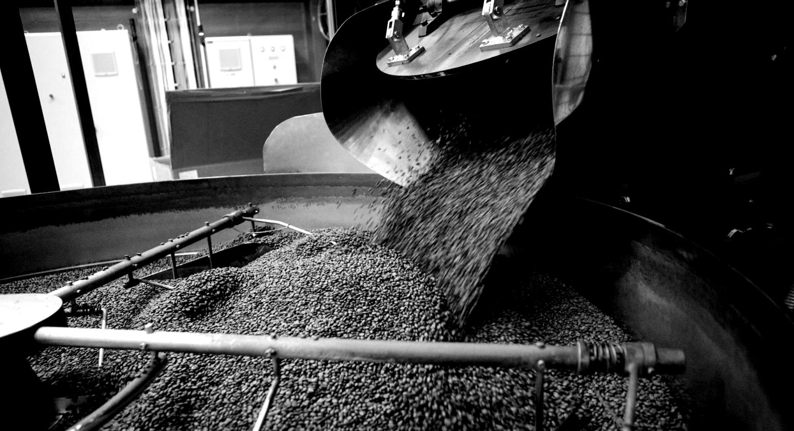 MG_8226-e1621243215954-blackwhite
